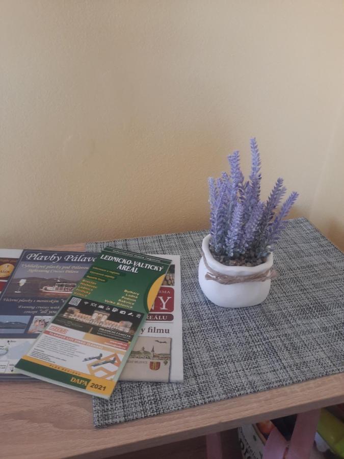 Apartmán Sandra Valtice Kültér fotó
