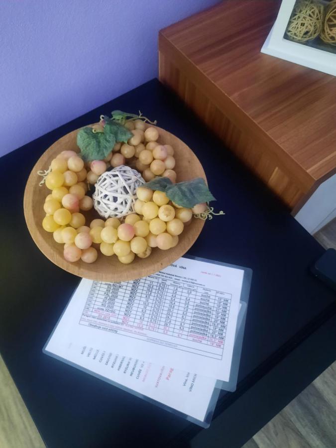Apartmán Sandra Valtice Kültér fotó
